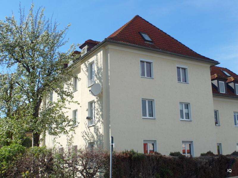 Wohnung zum Mieten in Dresden 365 € 42 m²