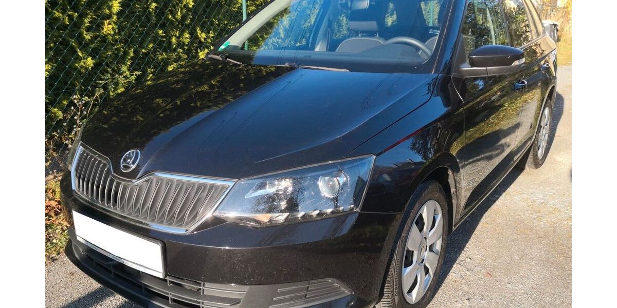 Skoda Fabia 134.482 km 7.590 &euro; Dresden-Heidenau 01809