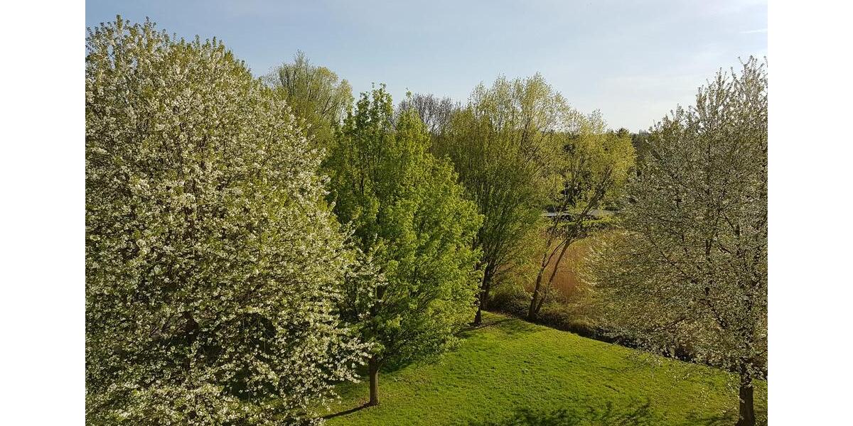 Etagenwohnung Dresden Prohlis - 4 Zimmer, 76 m&sup2;, 179.000&euro; | Angebot:25992218