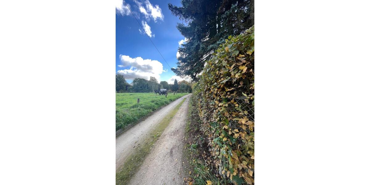 Bungalow Dresden Loschwitz - 3 Zimmer, 60 m&sup2;, 200.000&euro; | Angebot:25961758