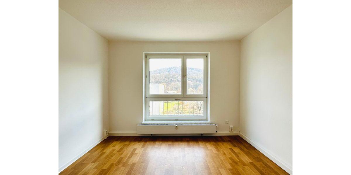 Dachgeschoßwohnung Freital - 2 Zimmer, 53 m&sup2;, 290&euro; | Angebot:25815256