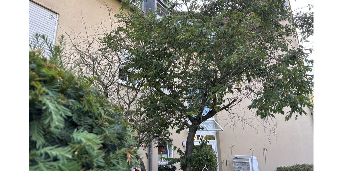 Gemütliche 3-Zimmer-Eigentumswohnung für Ihre Familie oder als Kapitalanlage - Etagenwohnung Coswig | Angebot:22894894