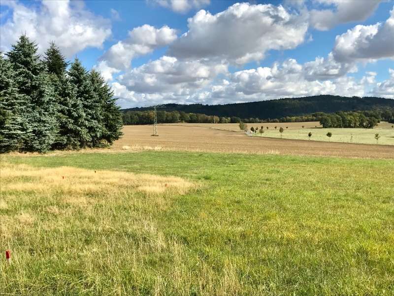 Grundstück zu verkaufen in Steina 250.000 € 2500 m²