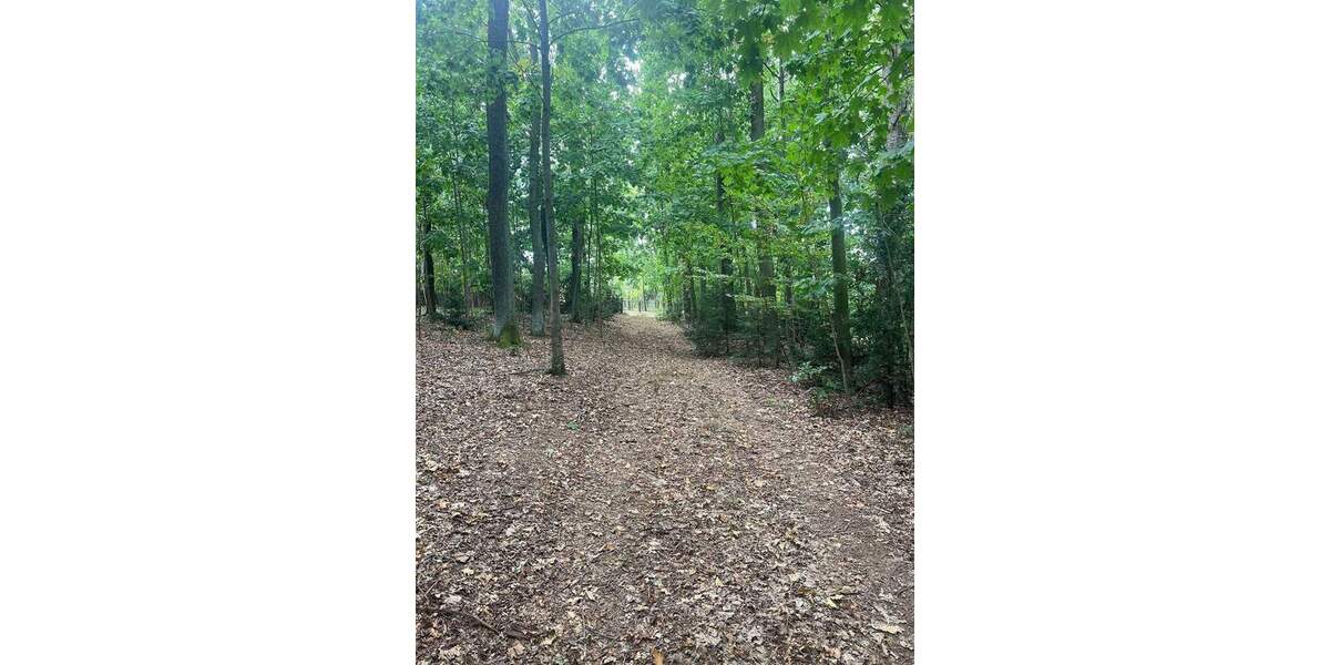 Idyllisches Wald-, Wiesen- und Wohngrundstück in Medingen bei Dresden zimmer