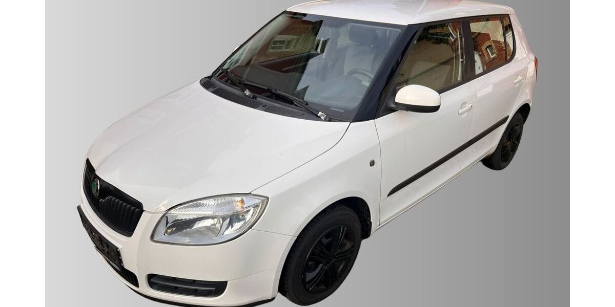 Skoda Fabia 160.742 km 2.450 &euro; Dresden 01139