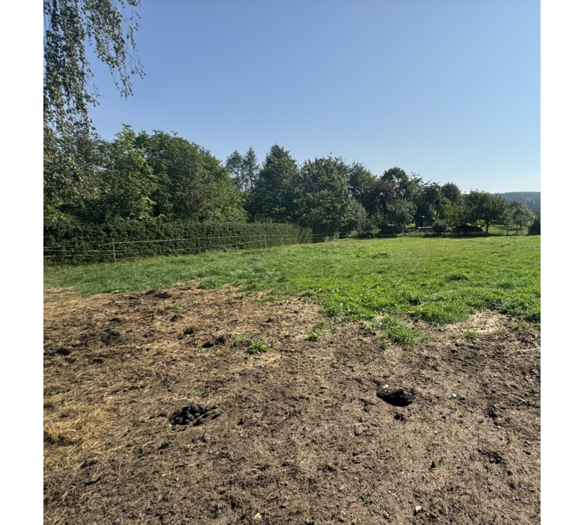 Grundstück zu verkaufen in Dippoldiswalde 85.000 € 1125 m²