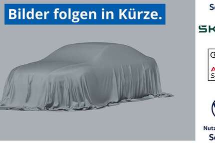 Mini John Cooper Works Countryman 119.500 km 12.989 &euro; Bahretal 01819