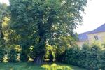 Einfamilienhaus Haselbachtal - 2 Zimmer, 118 m&sup2;, 849&euro; | Angebot:26149756