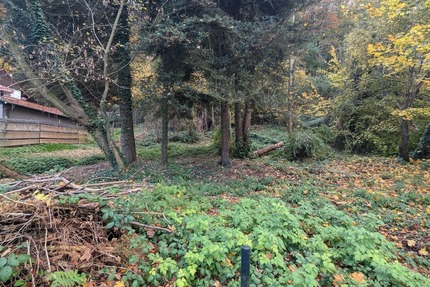 Grundstück Pirna - 119.000&euro; | Angebot:25745354