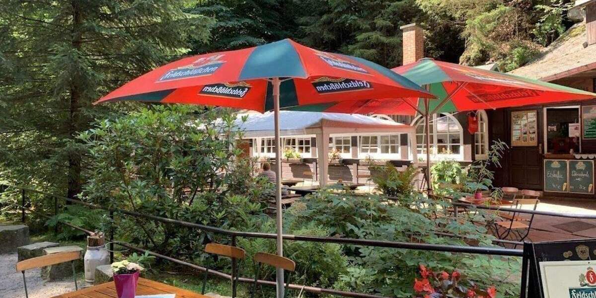 Gewerbeobjekt Lohmen Uttewalde - 299.000&euro; | Angebot:26401586