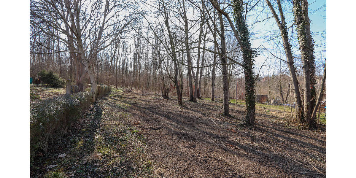 Grundstück Dresden Briesnitz - 369.000&euro; | Angebot:25768395