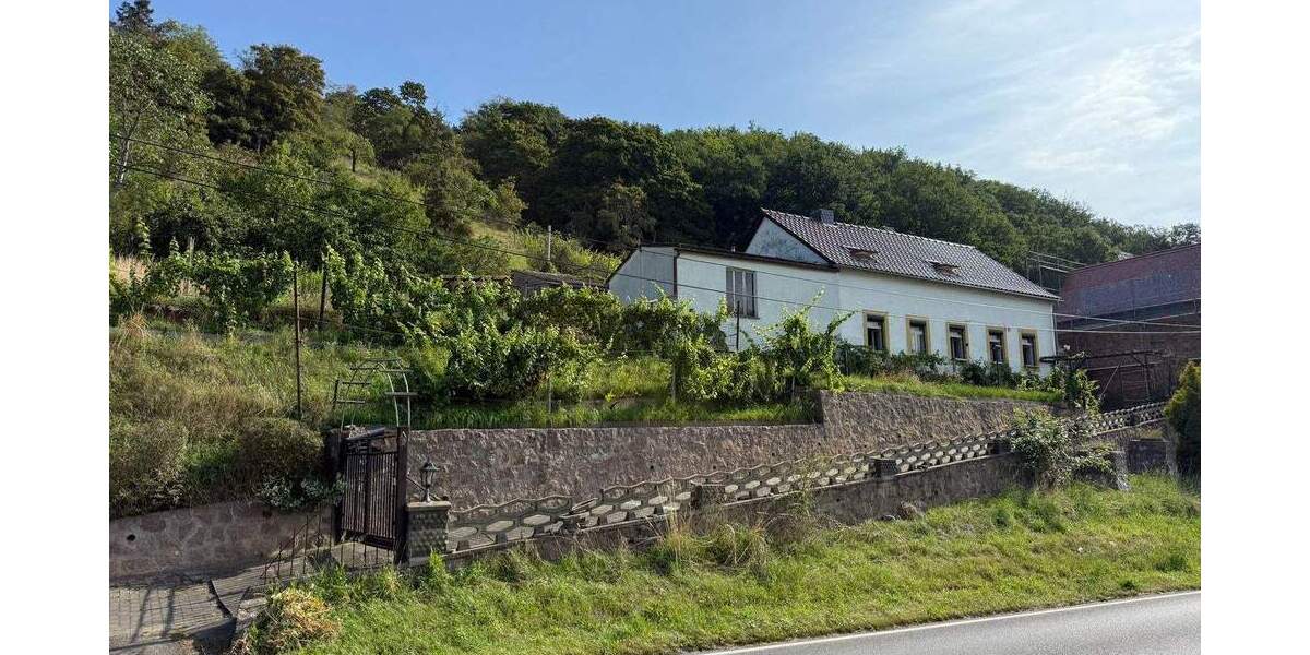 Großzügiges Hanggrundstück mit Altbestand und herrlichem Elbe Blick 5 zimmer