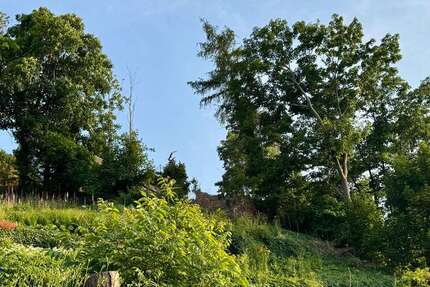 Grundstück zu verkaufen in Meißen 139.000 € 1180 m² zimmer