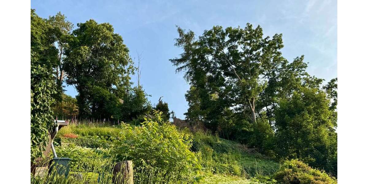 Grundstück zu verkaufen in Meißen 139.000 € 1180 m² zimmer