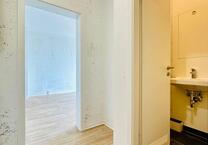 Hallo Single...1- Raum Wohnung mit Dusche!