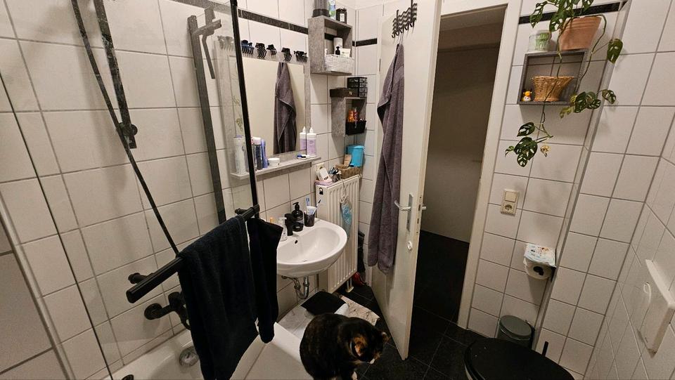 Erdgeschoßwohnung Pirna - 2 Zimmer, 42 m&sup2;, 450&euro; | Angebot:25351409