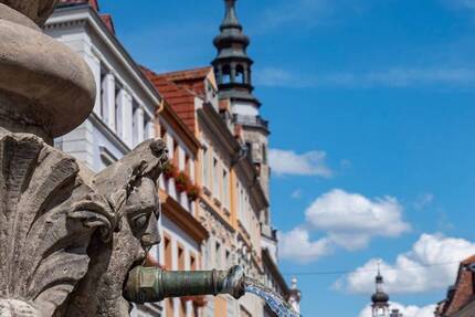 Wohnung Dresden Friedrichstadt - 3 Zimmer, 76 m&sup2;, 552.000&euro; | Angebot:25802241