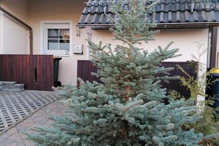 Haus Dippoldiswalde - 4.5 Zimmer, 102 m&sup2;, 270.000&euro; | Angebot:27122772