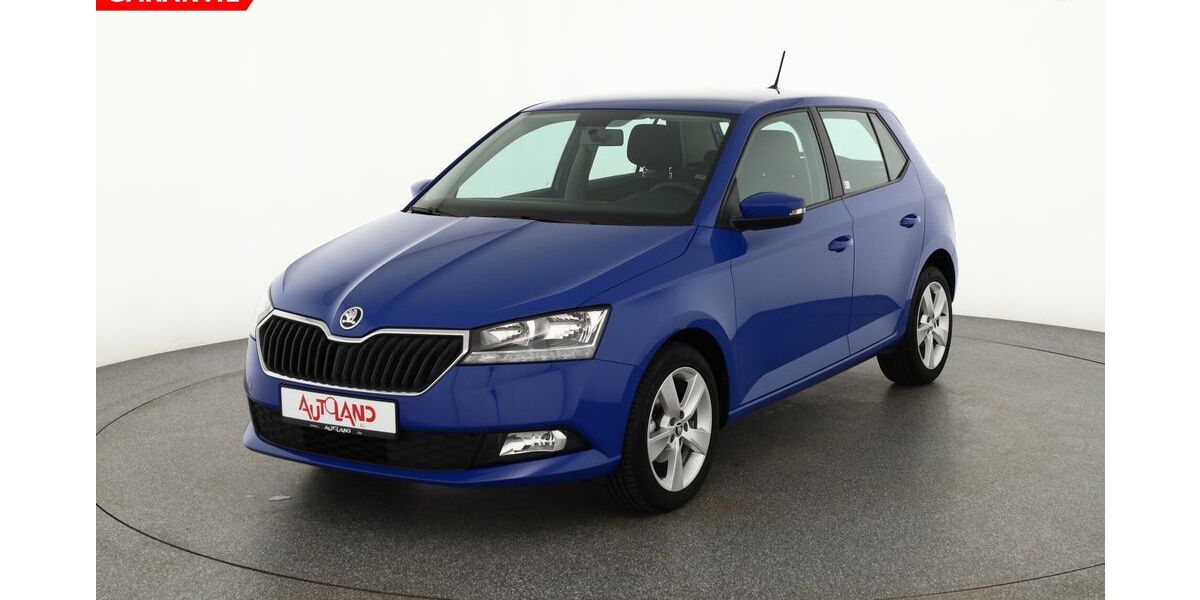 Skoda Fabia 53.228 km 13.990 &euro; Dresden 01239