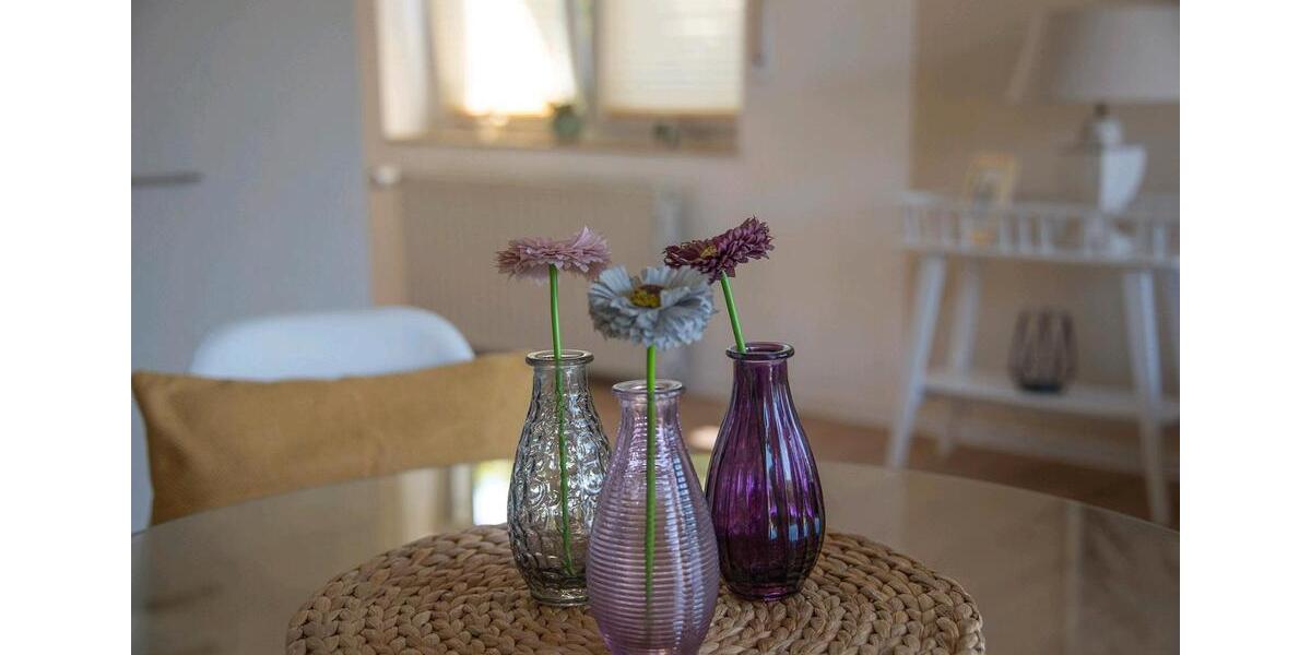 Terrassenwohnung Ebersbach - 2 Zimmer, 52 m&sup2;, 830&euro; | Angebot:25806535