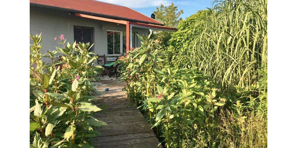 Einfamilienhaus Königsbrück - 12.000&euro; | Angebot:26517540