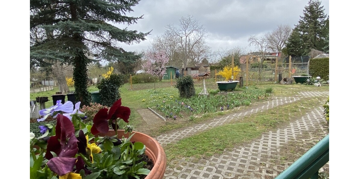 Charmante Doppelhaushälfte für idyllisches Familienwohnen mit großem Grundstück in bester Lage - Doppelhaushälfte Weinböhla | Angebot:26477754