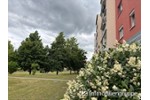 Attraktive 3- Raum ETW im EG in ruhiger Lage in Coswig - Erdgeschoßwohnung Coswig | Angebot:27225281