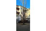 Mehrfamilienhaus, Wohnhaus Pirna - 615.000&euro; | Angebot:26524633