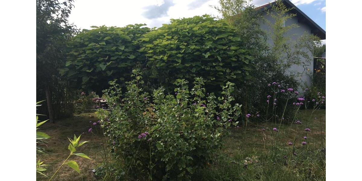 Einfamilienhaus Königsbrück - 12.000&euro; | Angebot:26517540