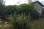 Einfamilienhaus Königsbrück - 12.000&euro; | Angebot:26517540
