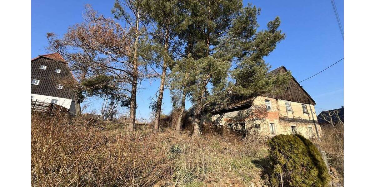 Historischer Zweiseithof - Denkmalgeschütztes Juwel auf großzügigem Grundstück mit Baugenehmigung zimmer