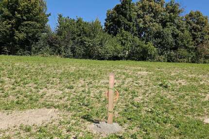 Grundstück Wilsdruff - 214.605&euro; | Angebot:23565432