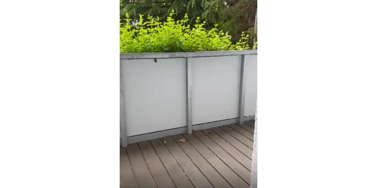 Etagenwohnung Dresden Prohlis - 3 Zimmer, 66 m&sup2;, 477&euro; | Angebot:26265626