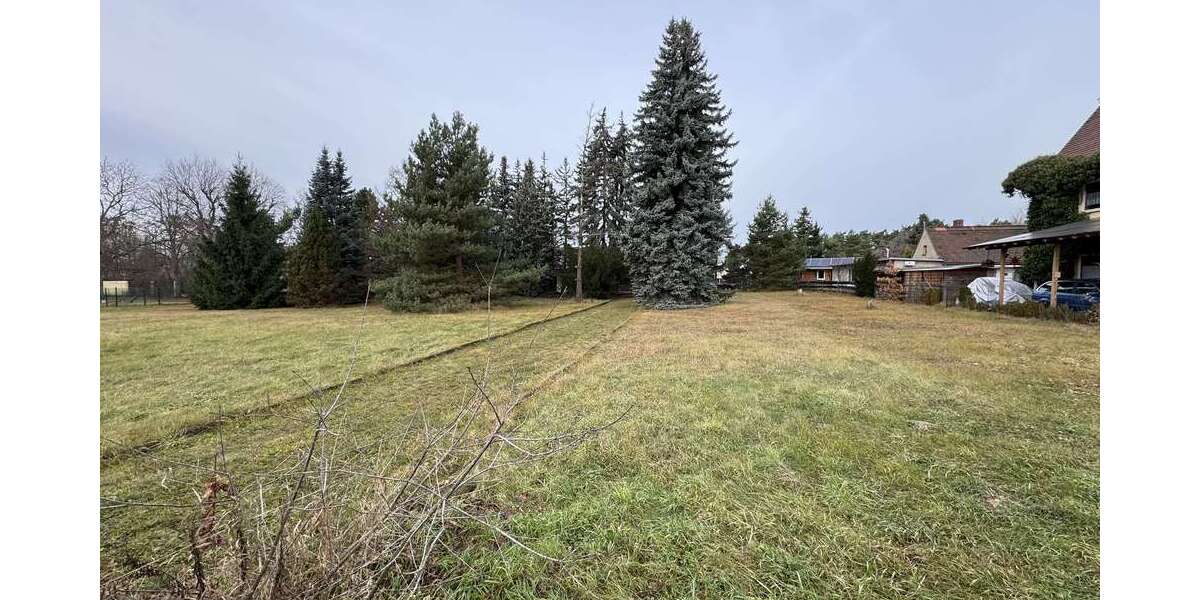 Grundstück zu verkaufen in Coswig 198.000 € 1030 m² zimmer