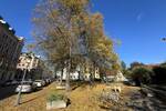 Etagenwohnung Dresden Pieschen-Süd - 3 Zimmer, 62 m&sup2;, 160.000&euro; | Angebot:25940741