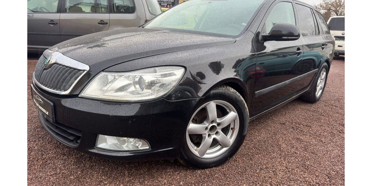 Skoda Octavia 307.187 km 4.100 &euro; Freital 01705