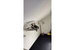 Dachgeschoßwohnung Dresden Neustadt - 2 Zimmer, 65 m&sup2;, 900&euro; | Angebot:26664076