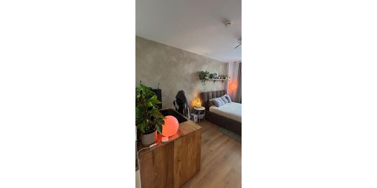 Erdgeschoßwohnung Dresden - 1.5 Zimmer, 33 m&sup2;, 650&euro; | Angebot:24423293