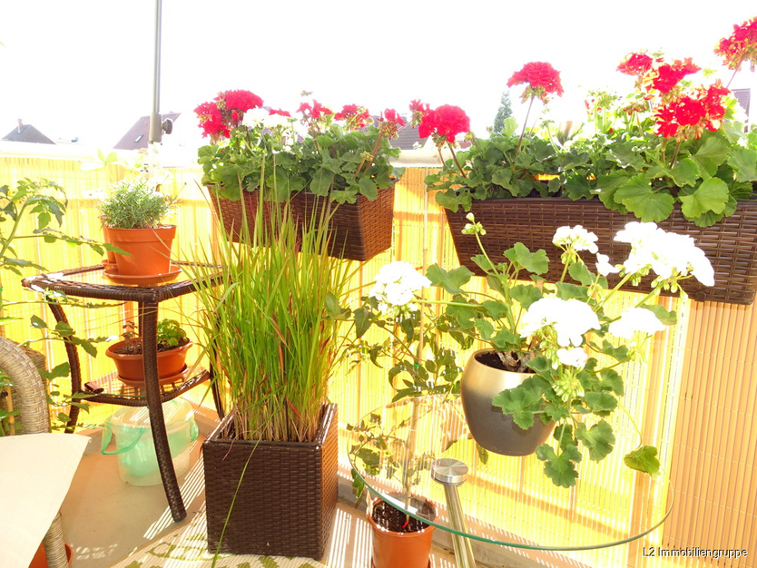 Gemütliche 3-Zimmer-Eigentumswohnung für Ihre Familie oder als Kapitalanlage 3 zimmer