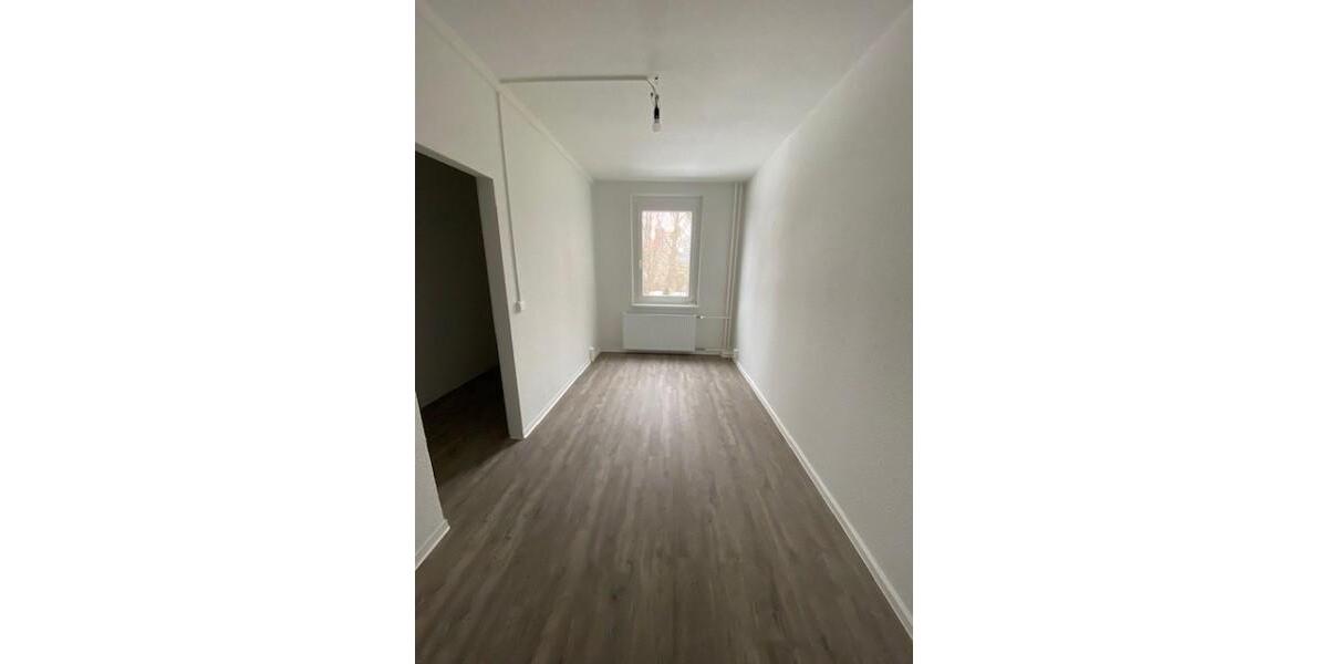 Etagenwohnung Dresden Plauen - 1 Zimmer, 45 m&sup2;, 446&euro; | Angebot:26263461
