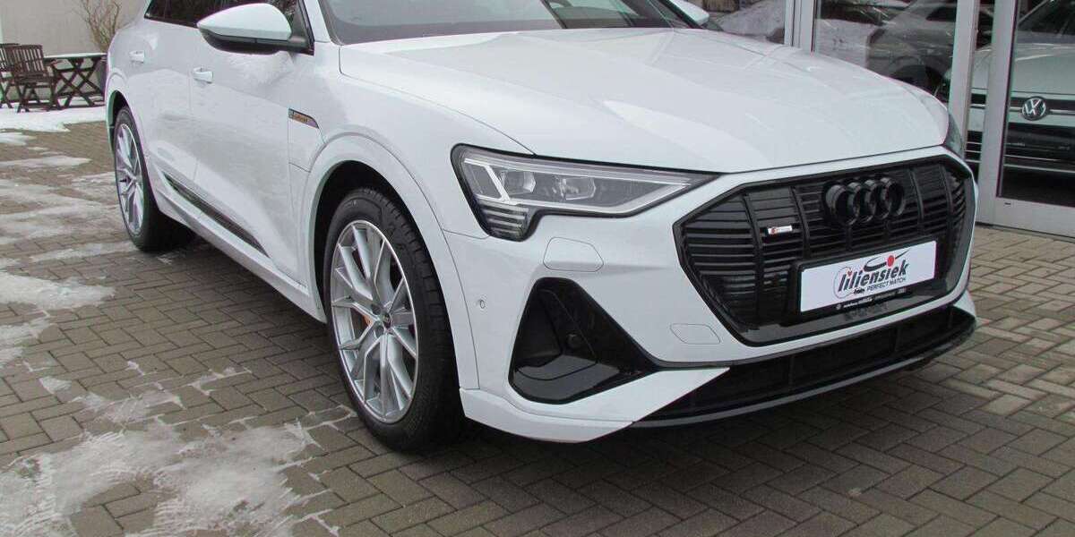 Audi e-tron 24.150 km 39.960 &euro; Dippoldiswalde 01744