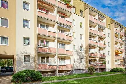 Wohnung zum Mieten in Dresden 481,80 € 66 m²