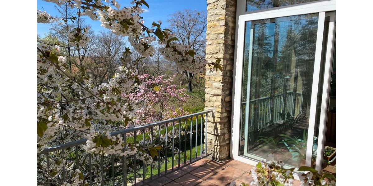 Terrassenwohnung Dresden Loschwitz - 6 Zimmer, 181 m&sup2;, 2.353&euro; | Angebot:26273705