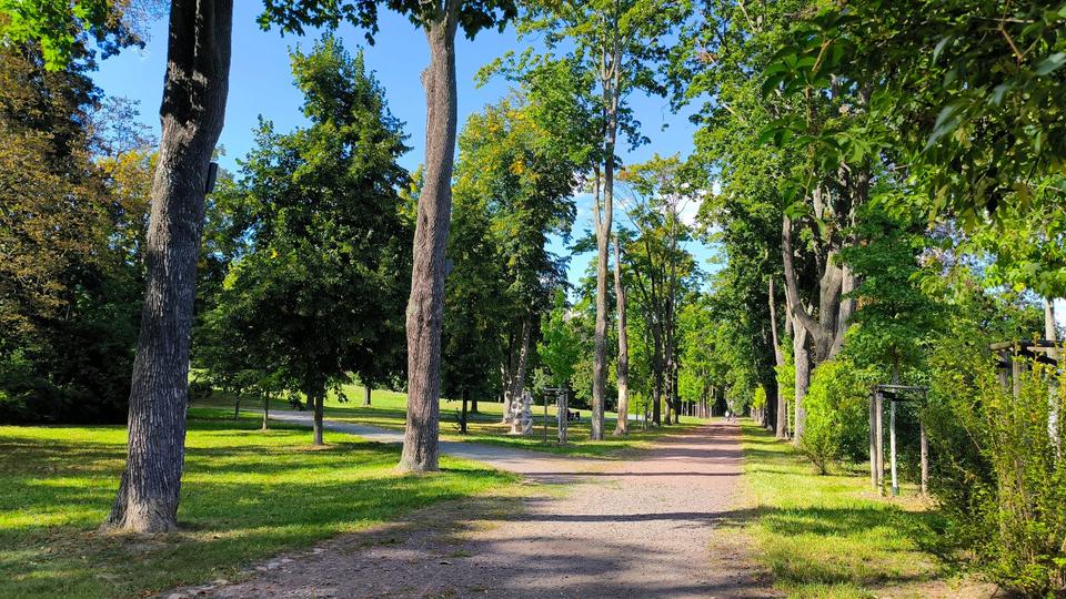 **Frisch renoviert, TOP Grundriss, Balkon, OHNE Provosion** 2 zimmer