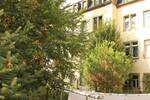 Etagenwohnung Dresden Pieschen-Süd - 2 Zimmer, 50 m&sup2;, 450&euro; | Angebot:26276033