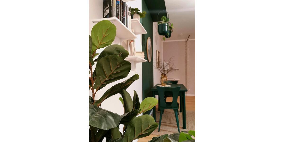 Erdgeschoßwohnung Dresden Plauen - 2 Zimmer, 48 m&sup2;, 850&euro; | Angebot:24373438