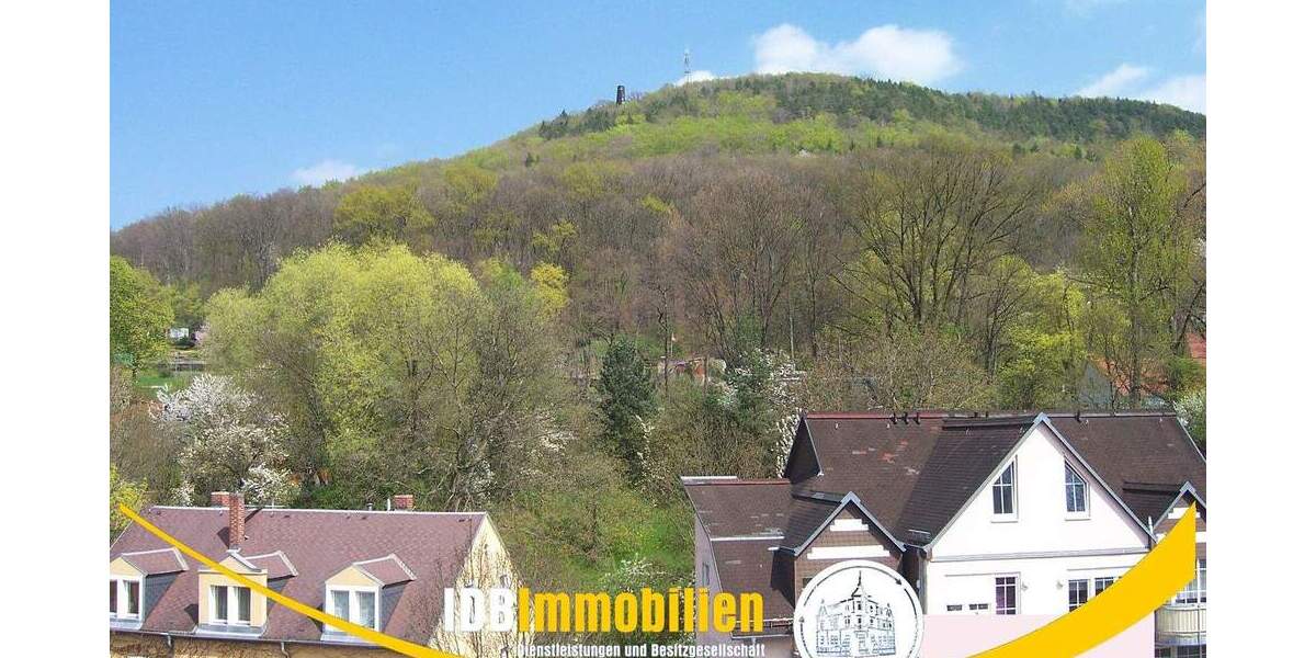 Etagenwohnung Freital Deuben - 4 Zimmer, 121 m&sup2;, 1.100&euro; | Angebot:24157651