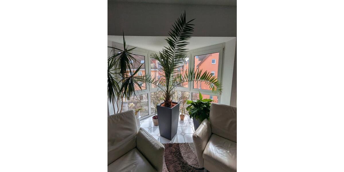 Etagenwohnung Pulsnitz - 3 Zimmer, 94 m&sup2;, 750&euro; | Angebot:26636814