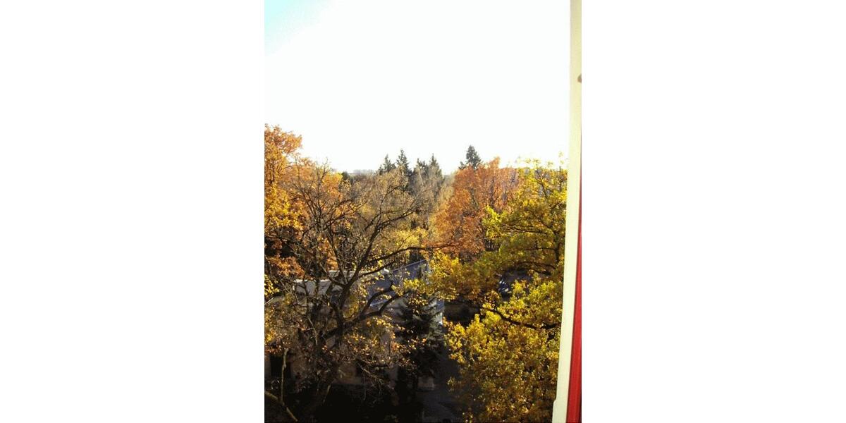 Dachgeschoßwohnung Dresden Neustadt - 2 Zimmer, 63 m&sup2;, 600&euro; | Angebot:25779458