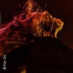 Diary Of Dreams - Live 2025